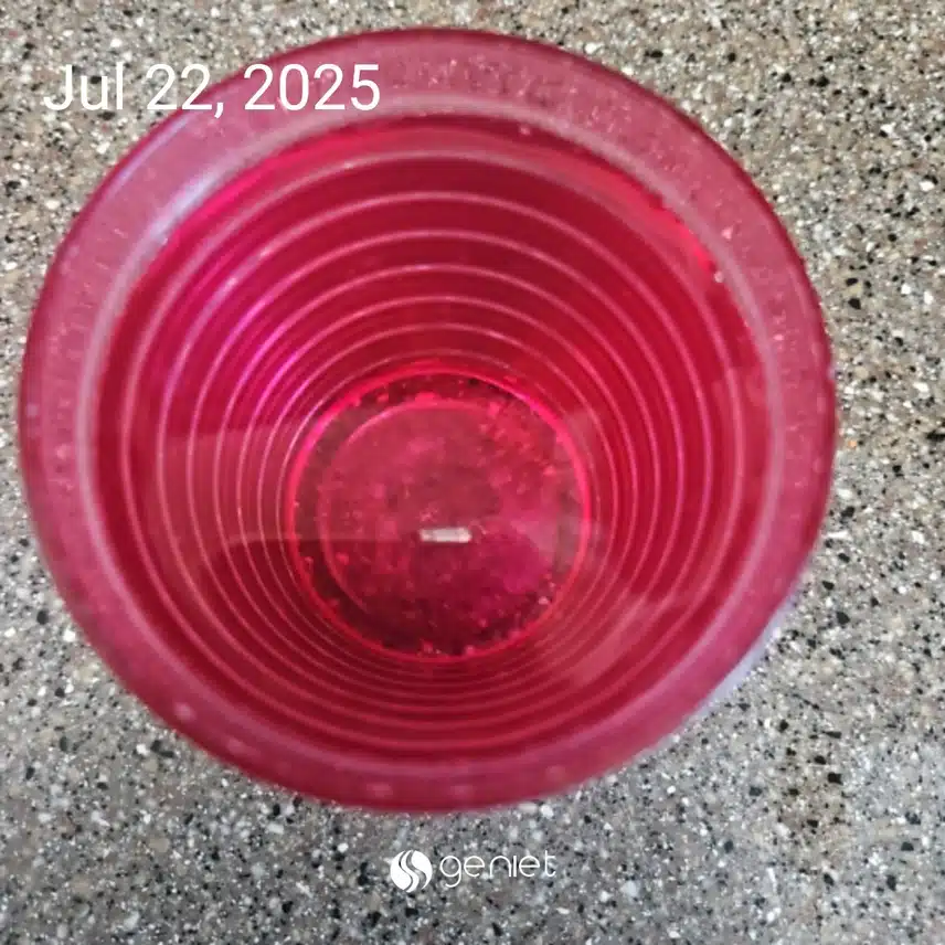 공복물 한잔으로 