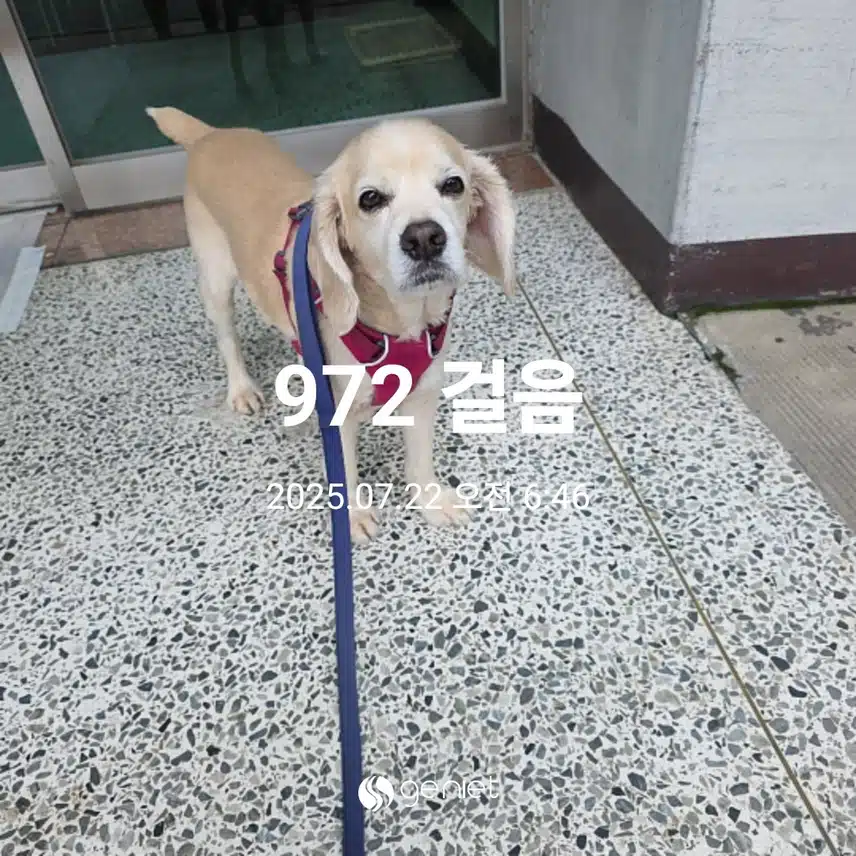화요일 아침 