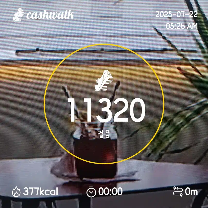 13일차