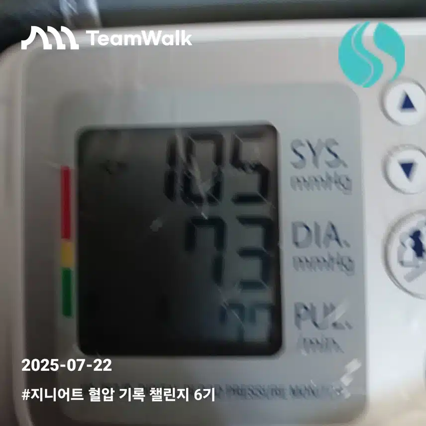 혈압2일차인증