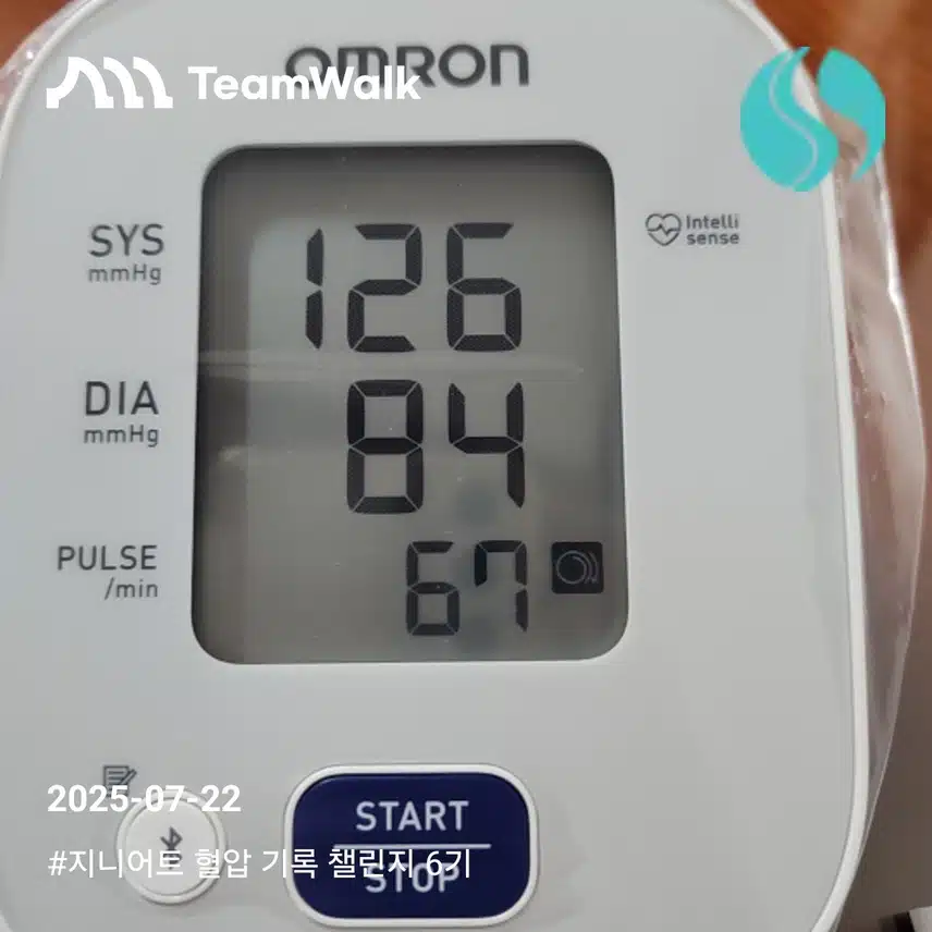 혈압인증