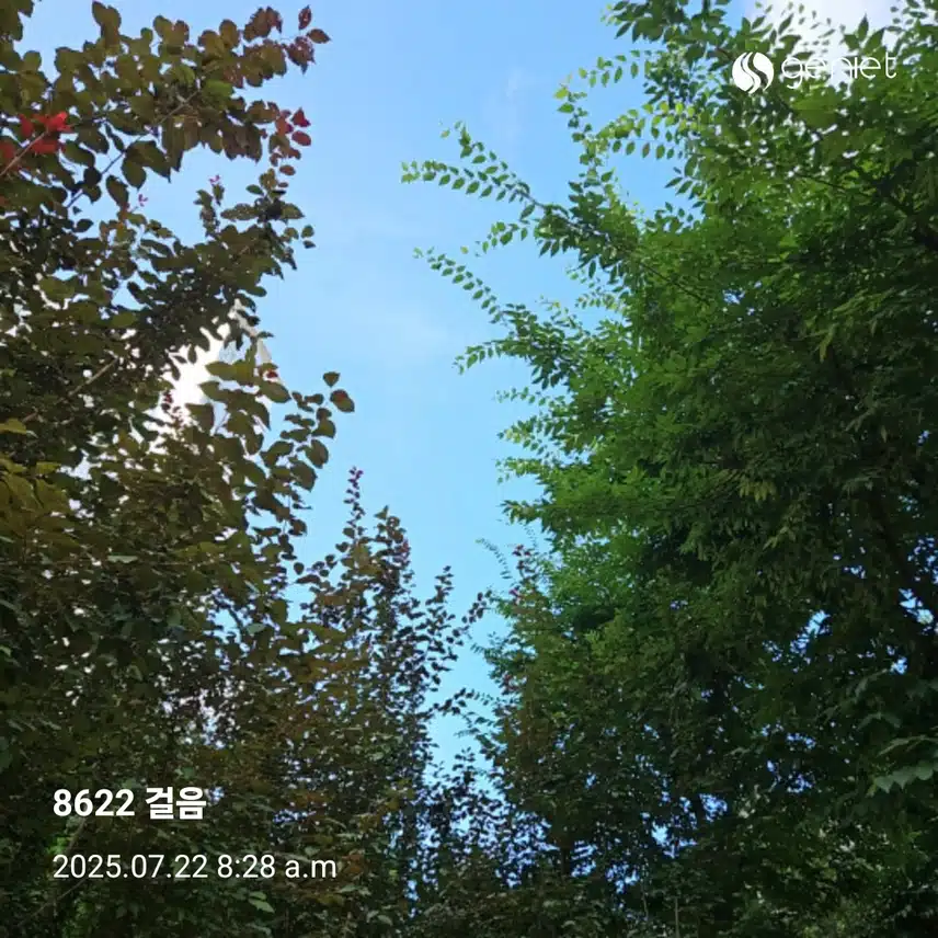오전 산책길 🏃