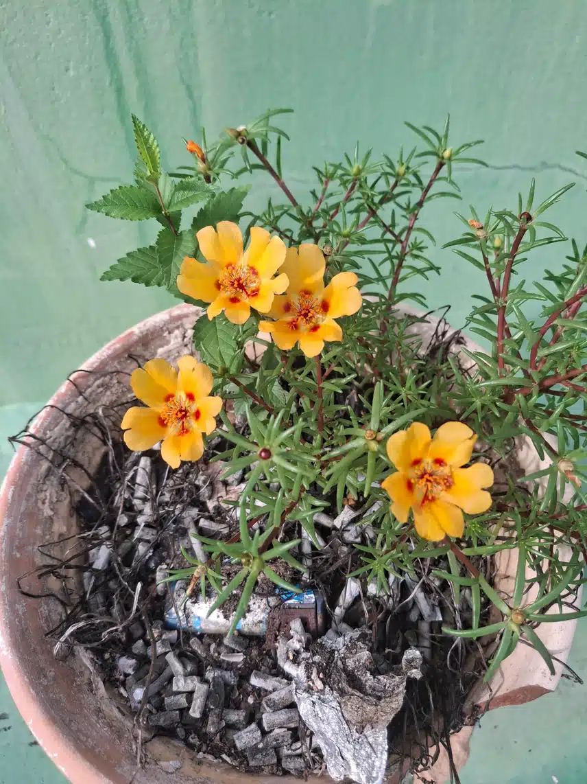 아침산책 