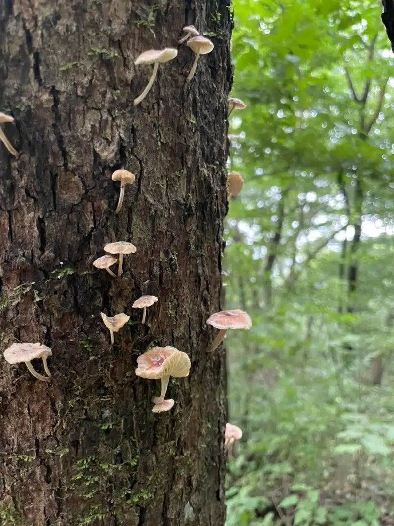 오전 산책길🏃‍♀️