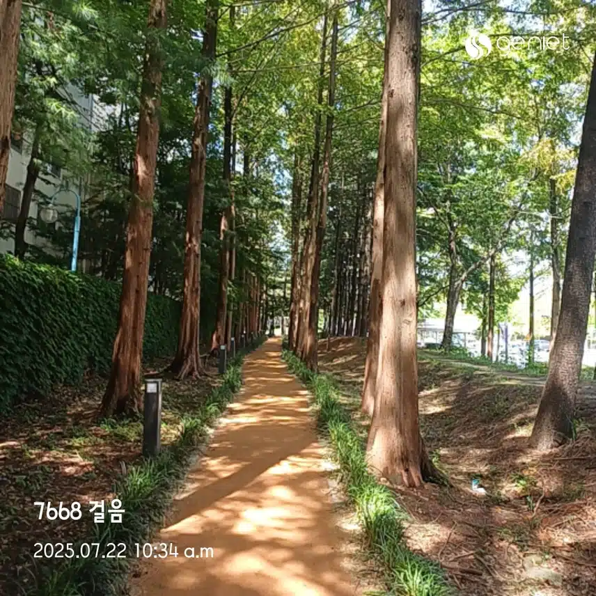 폭염속 걷기~