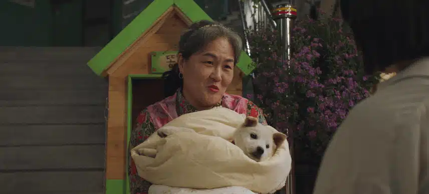 감기 걸린 똥주