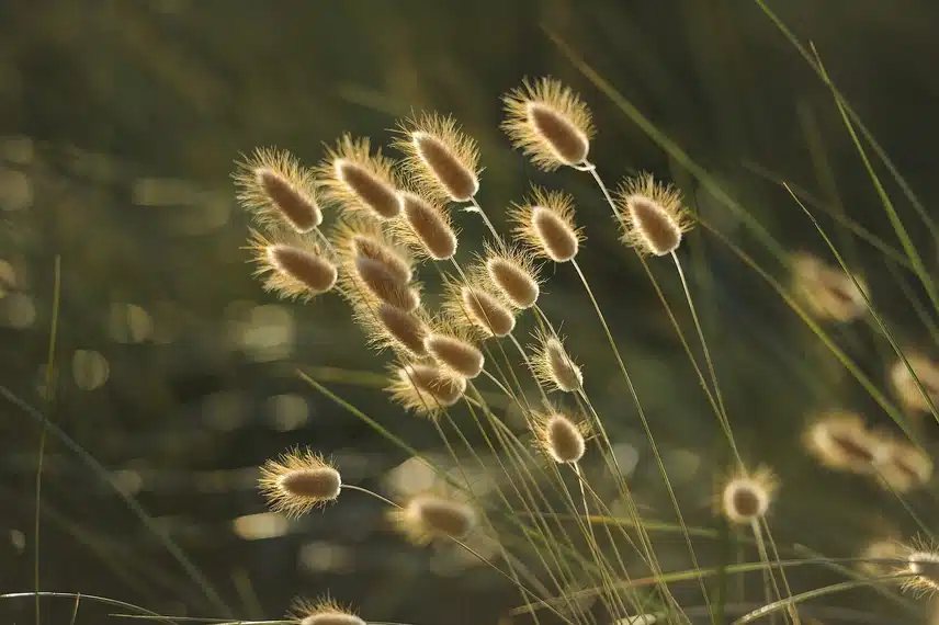 “ 밝음 속의 섬세함, 자유 속의 기준 – ENFP 여자의 이중적인 매력”