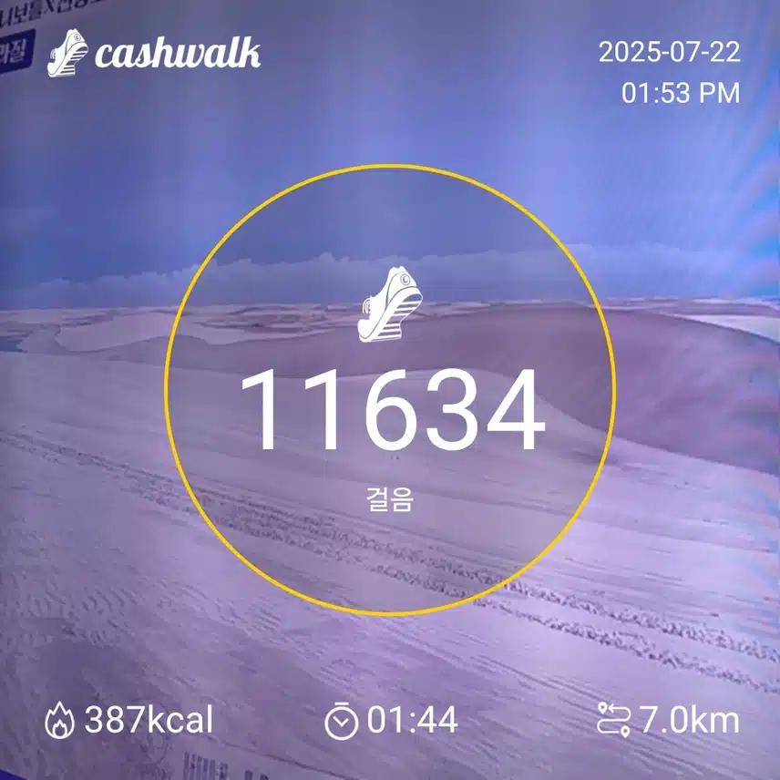 인증 