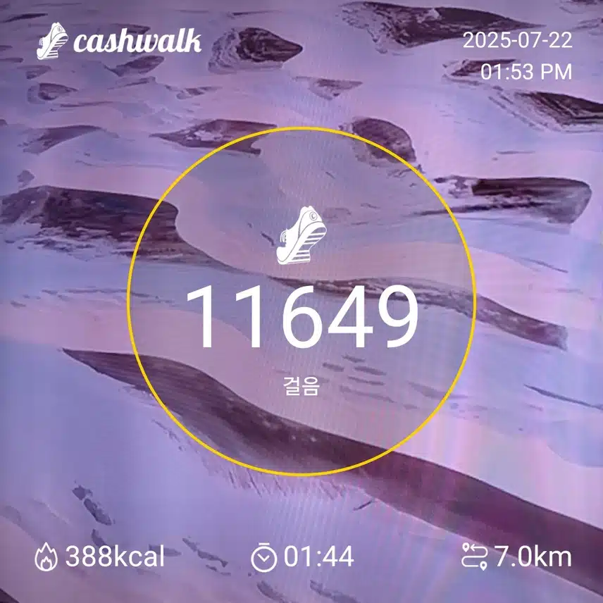 인증 