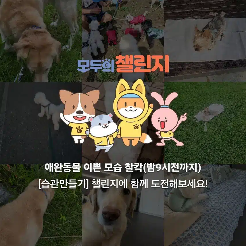 챌린지에 초대합니다. 한분이 부족하네요.