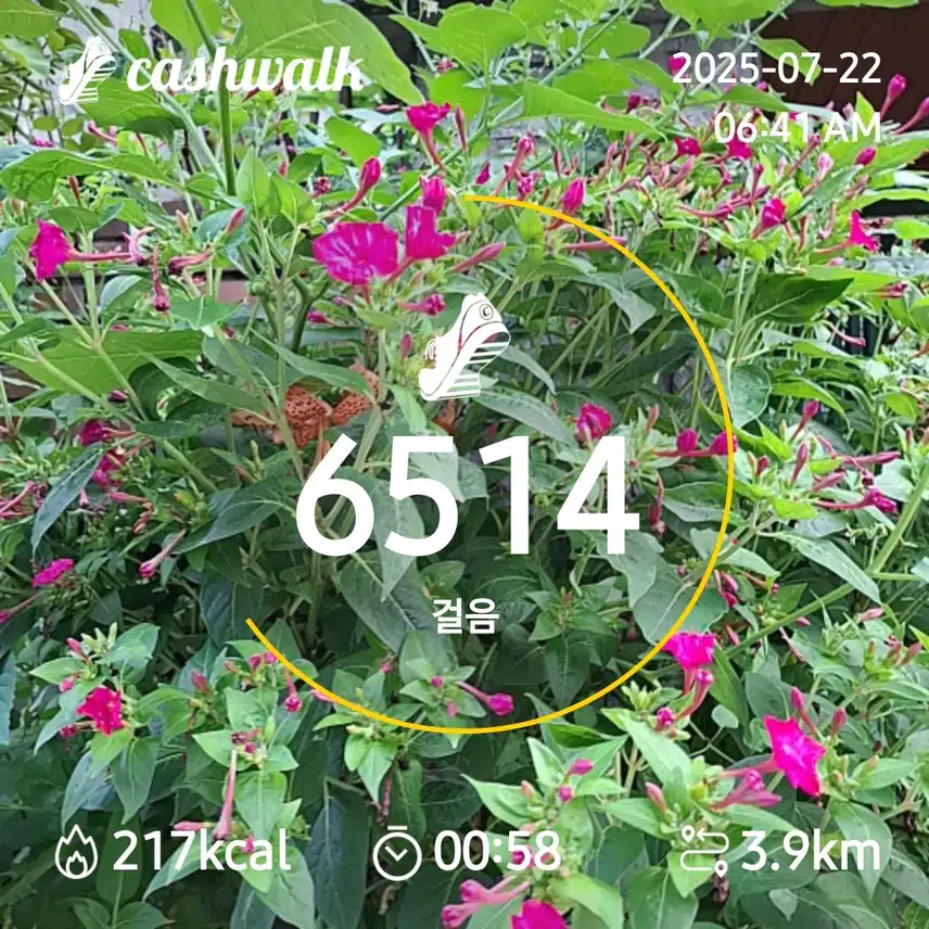 6000보 걷기