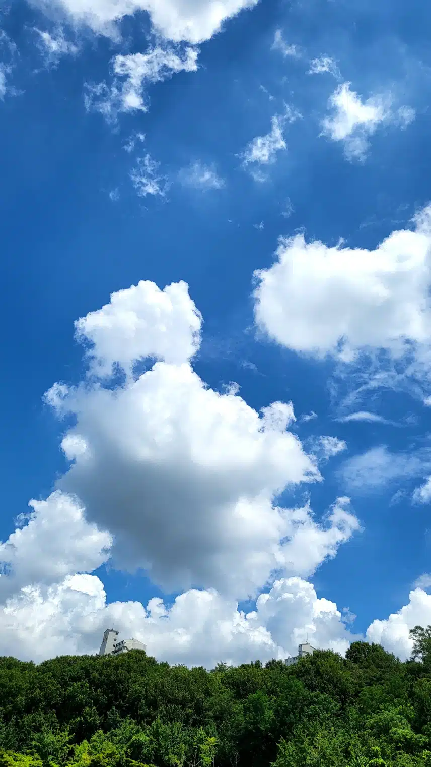 물회