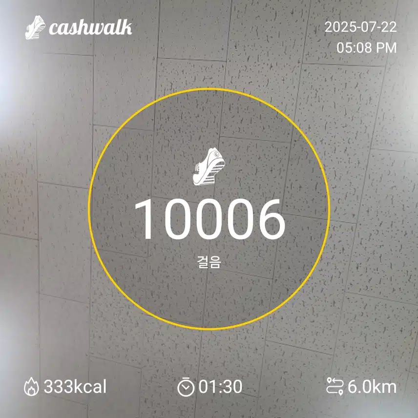 인증