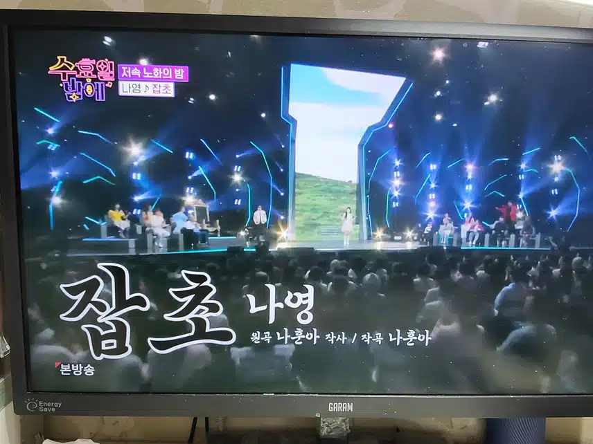 나영님 잡초 무대 다 같이 즐길수 있는 무대더라구요