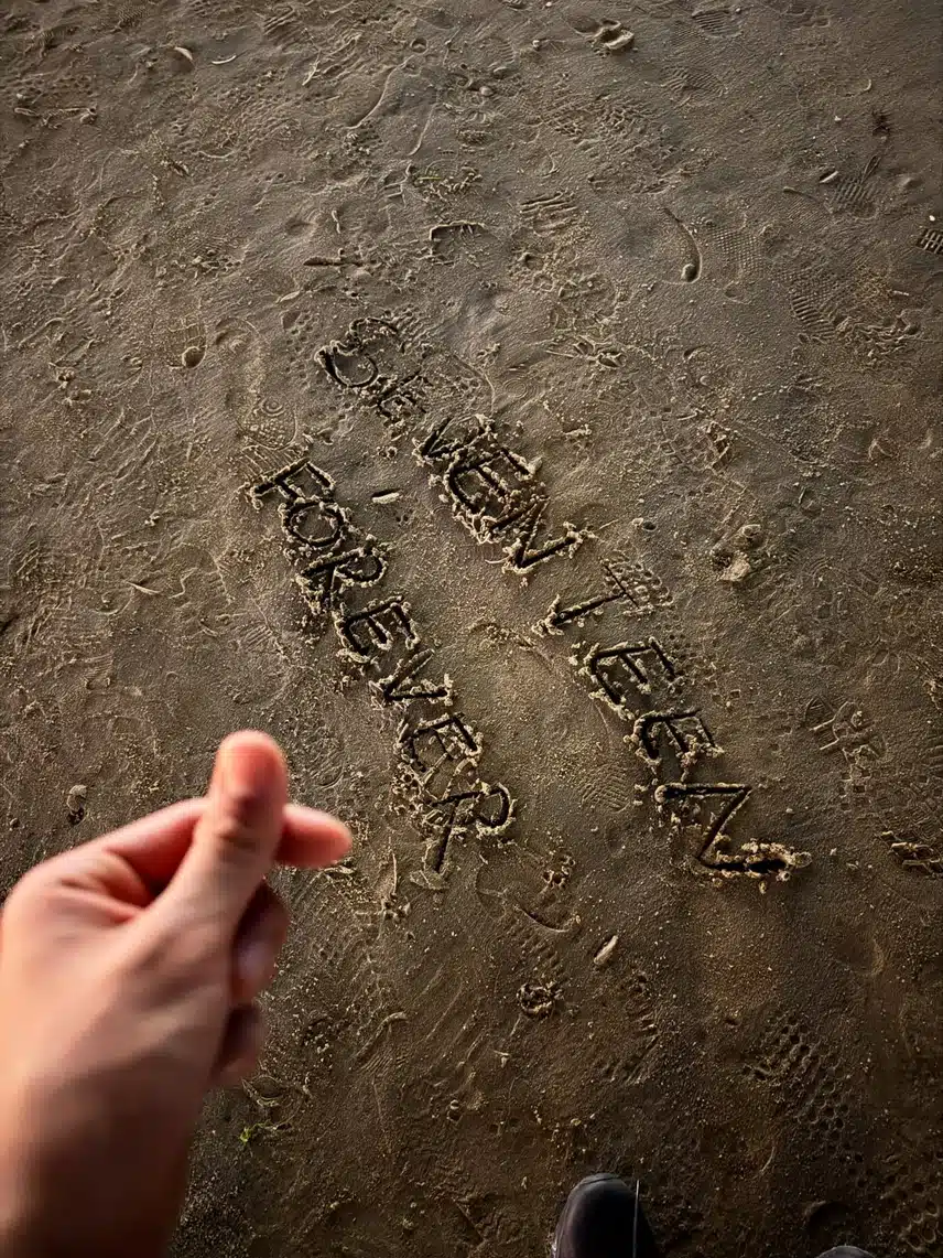 What Hoshi discovered by chance while walking along the Busan sea