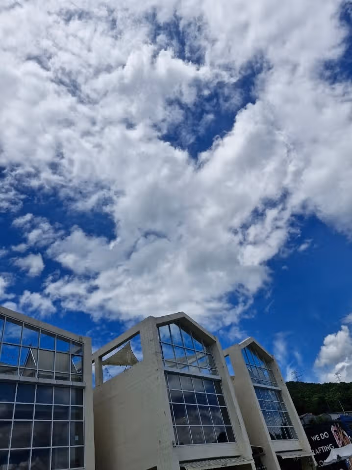 오늘 정말 파란 하늘이에요!
