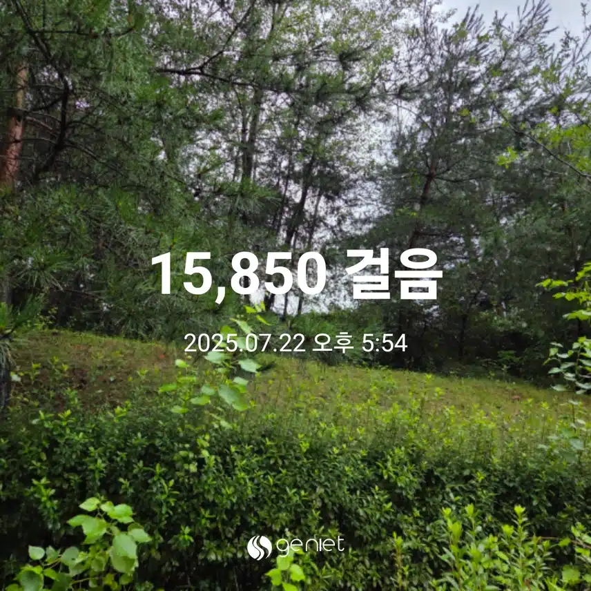 만오천보 걸었어요 
