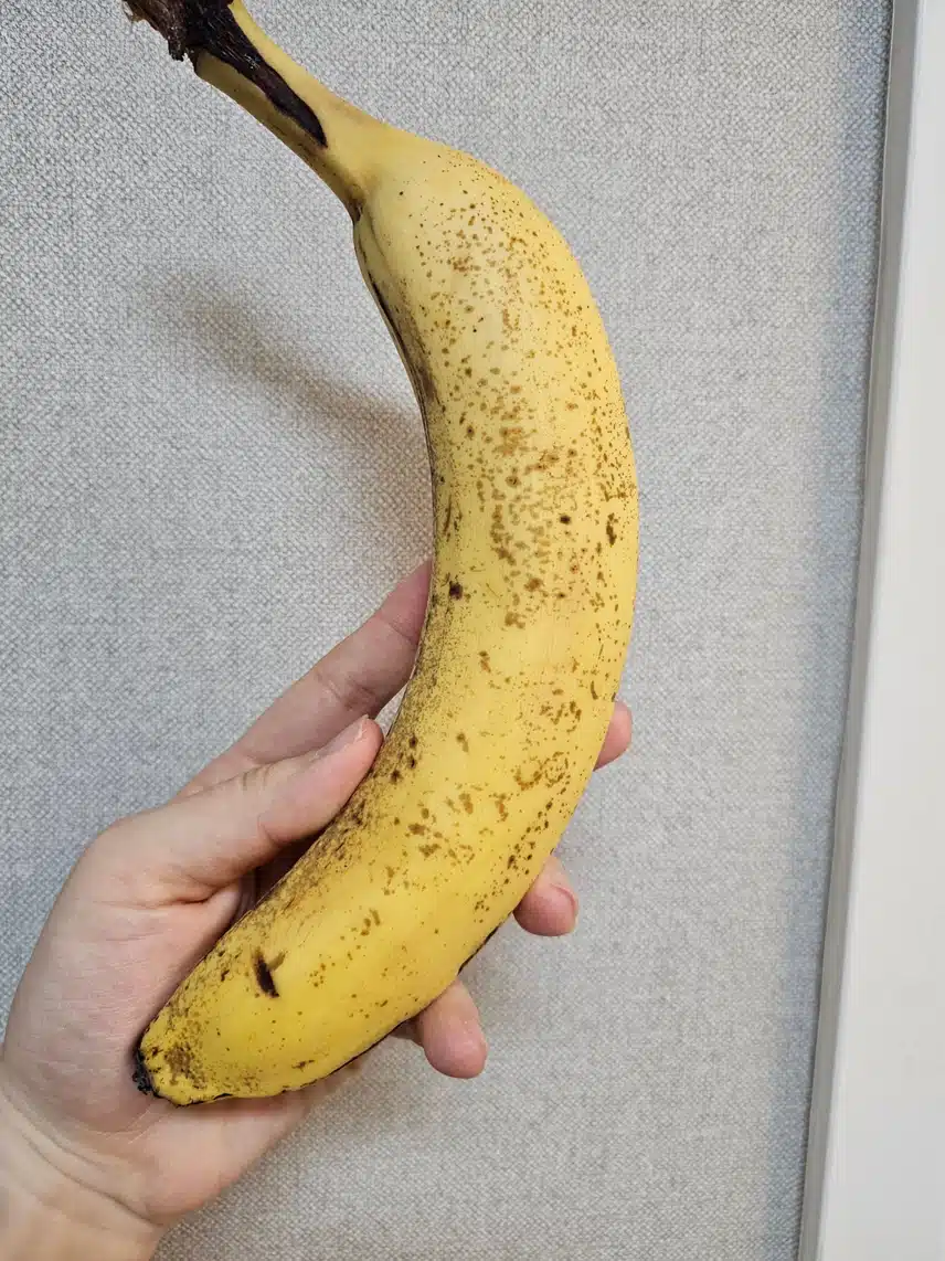 병원 다녀와 바나나 🍌 