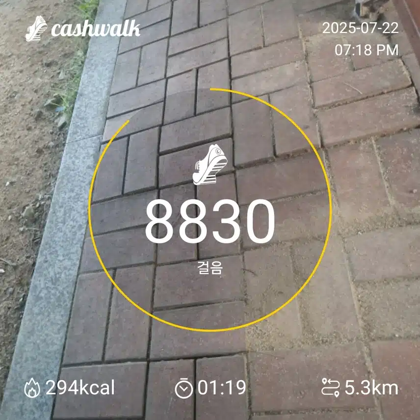 인증