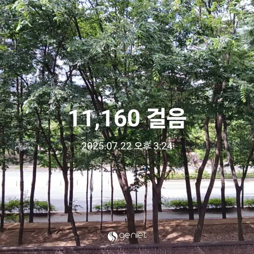 화요일 걷기운동^^
