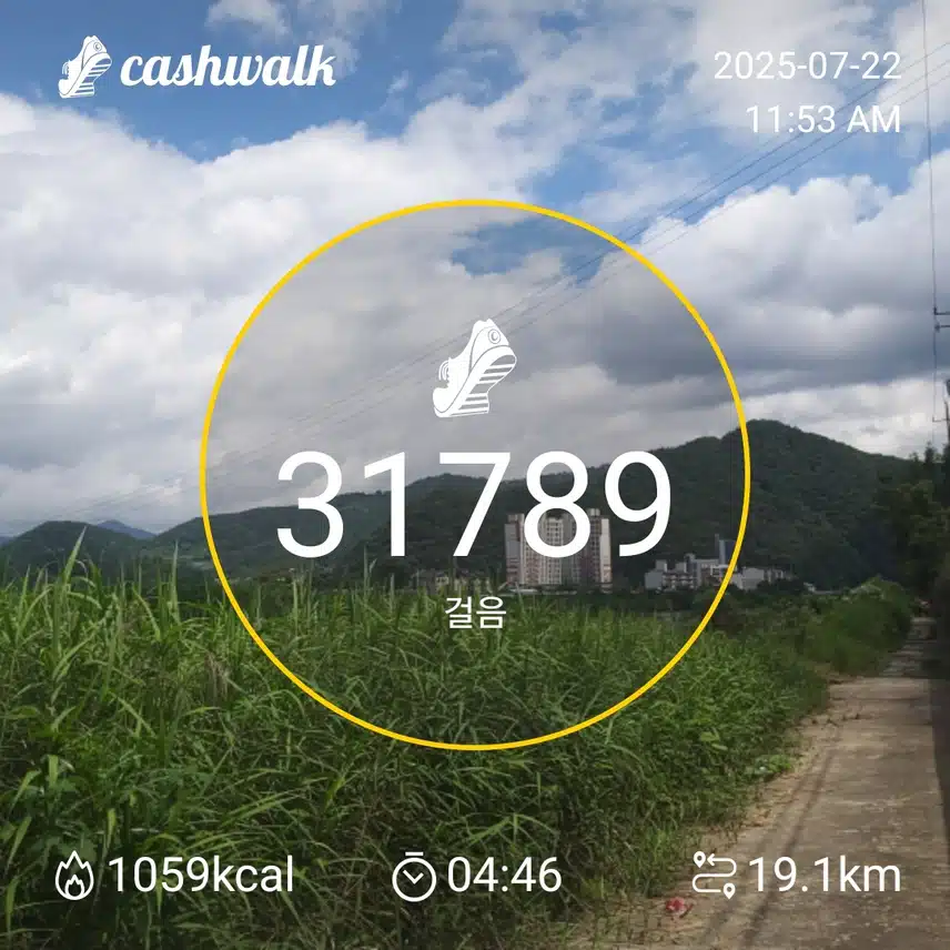 인증 