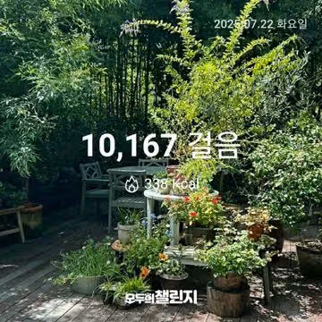 7월 22일 만보 완주 