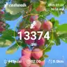 board-img