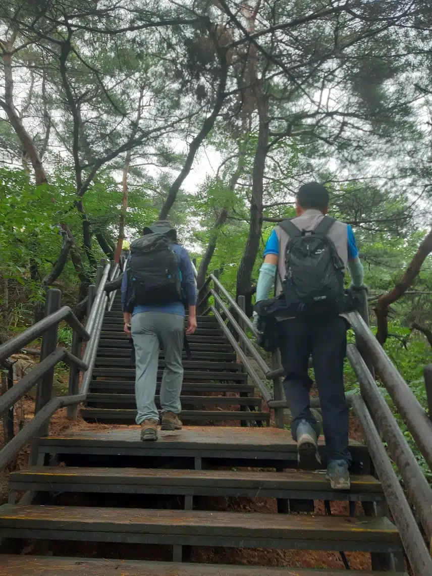 건강을 위한 제 최애 운동은 등산입니다