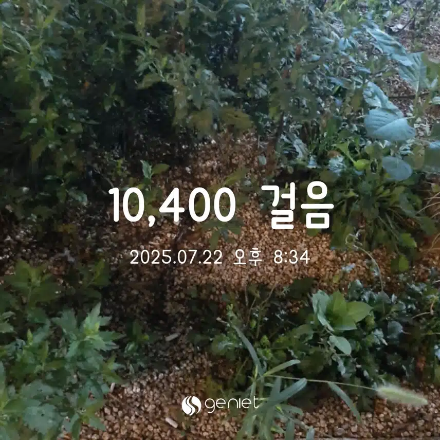 화 만보완료