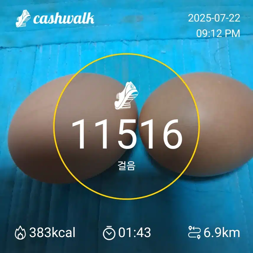보라소년