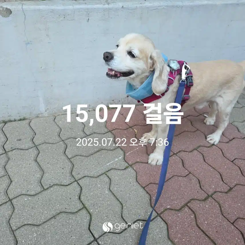 화요일 마무리 