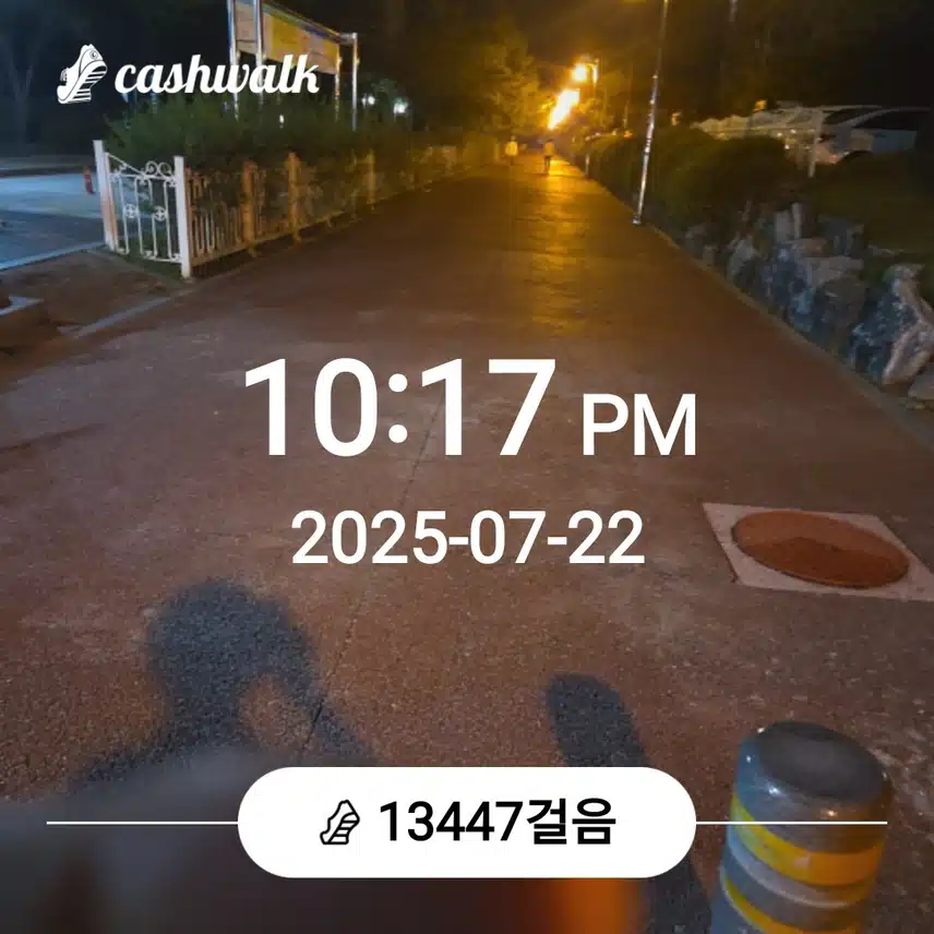 오늘도 만보걷기를....!