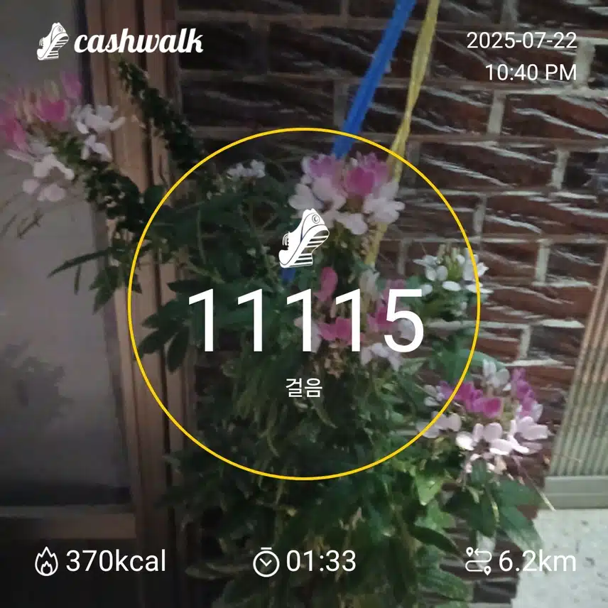 걷기 인증샷 252일차