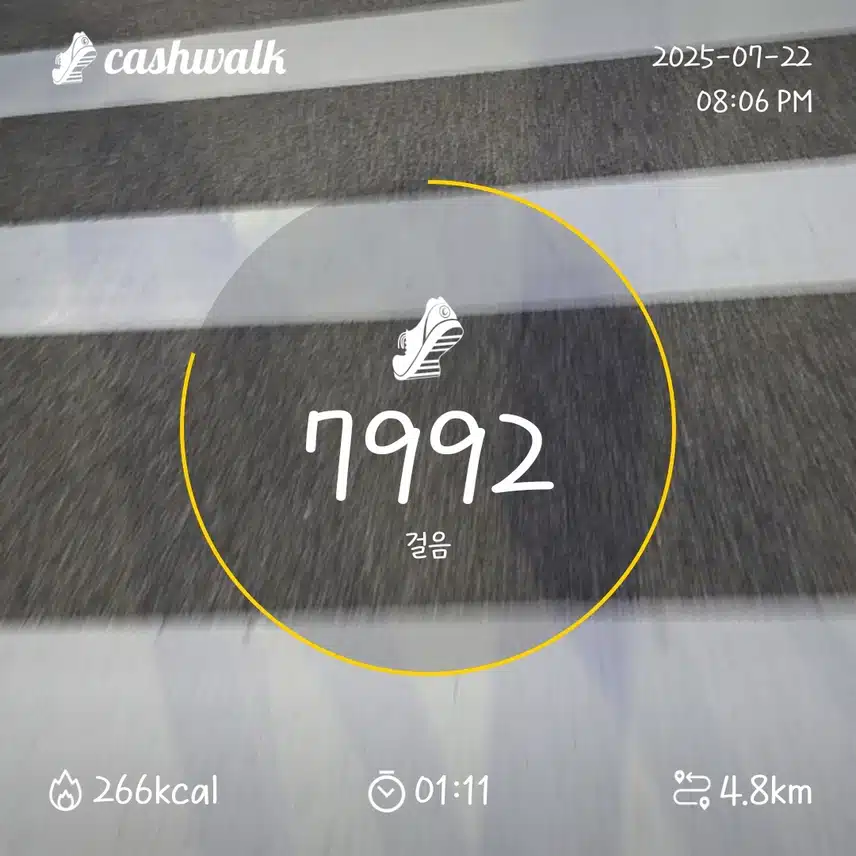 인증