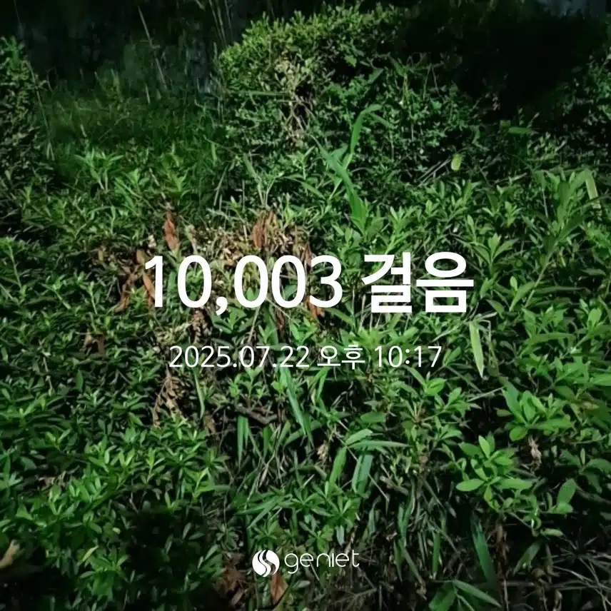화요일, 만보걷기!