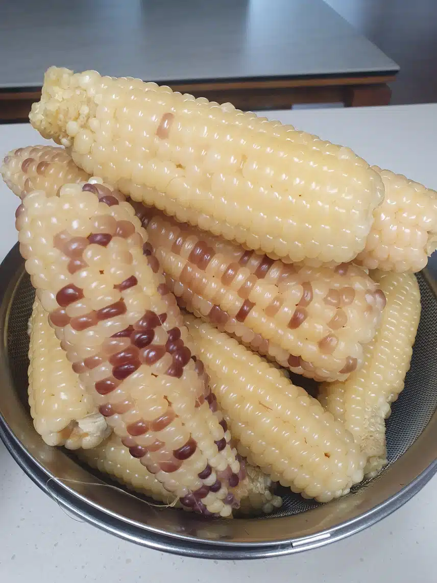신랑표 찰옥수수~♤