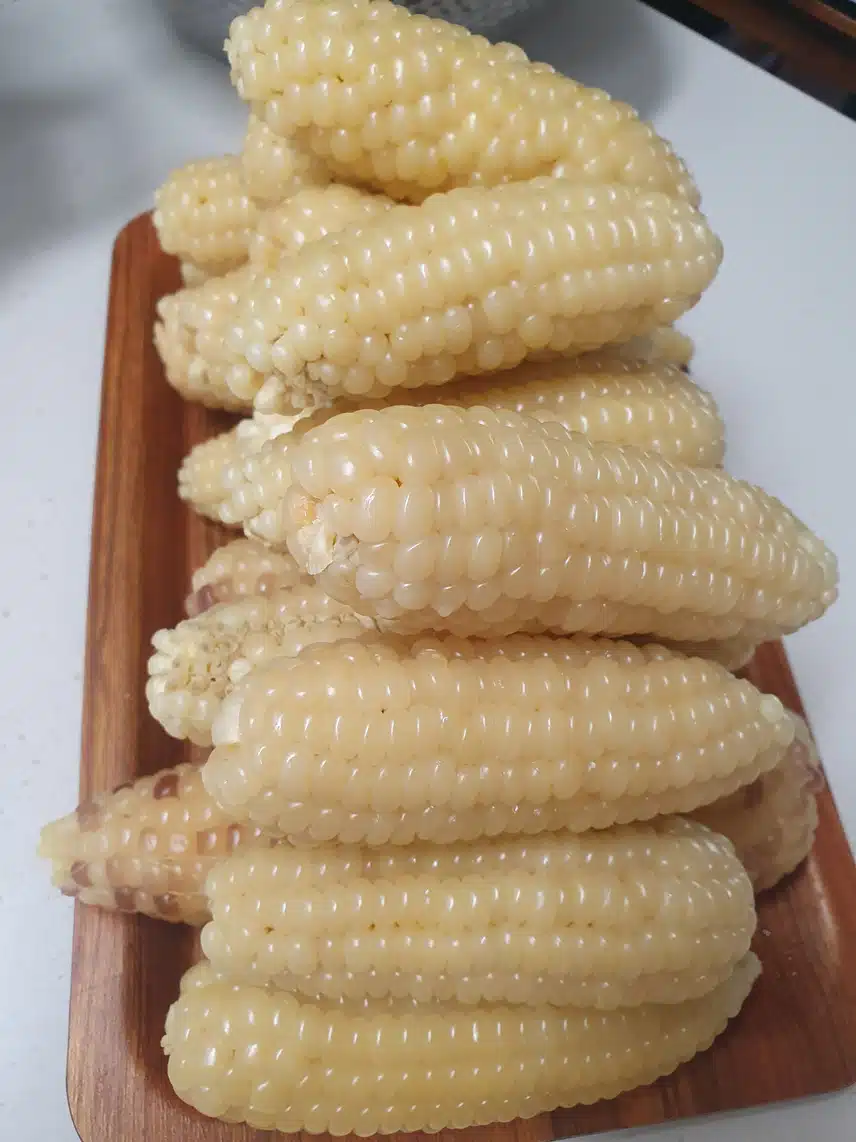 신랑표 찰옥수수~♤