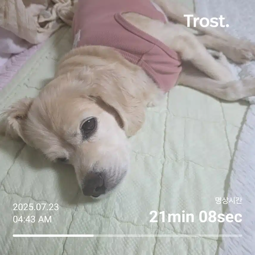 수요일 아침(힘들어서 간식)