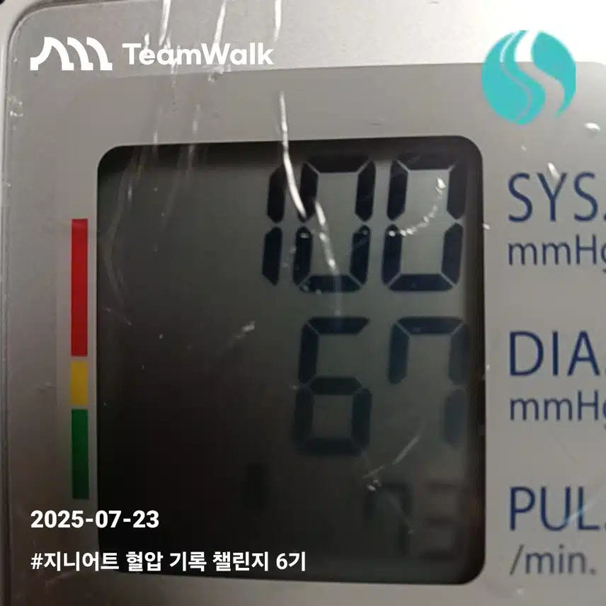 혈압3일차인증