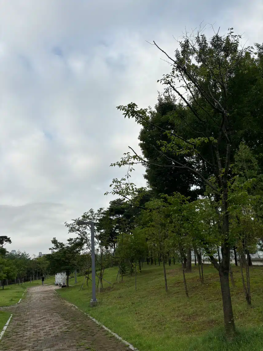 아침산책🏞️