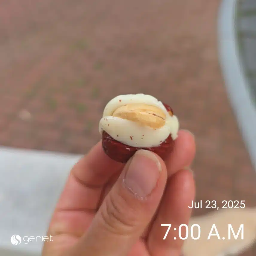 수요일 아침(힘들어서 간식)