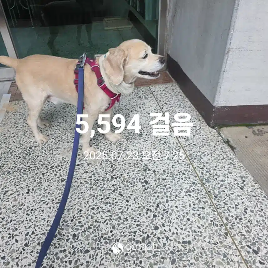 수요일 아침(힘들어서 간식)