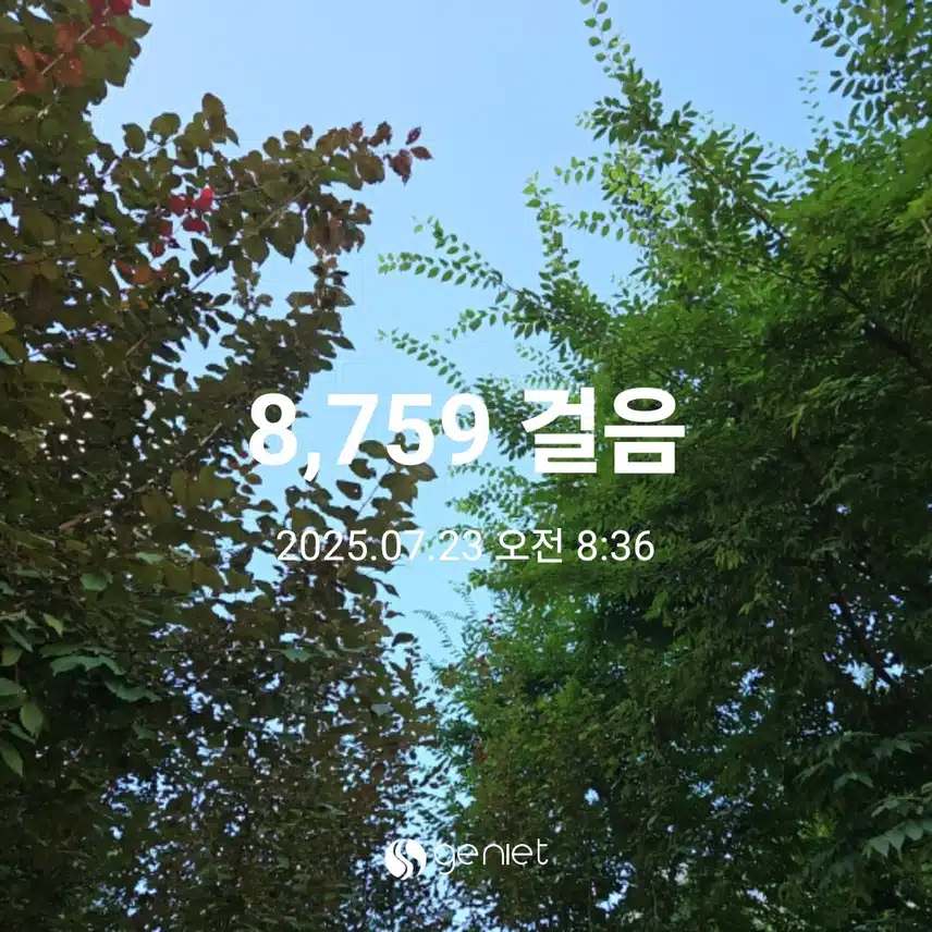아침 산책의 효과🏃