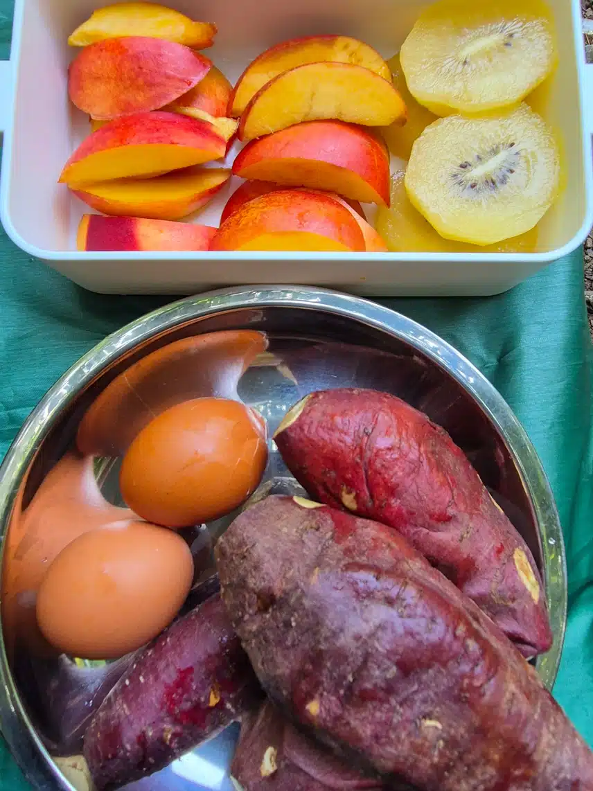 아침 겸 새참