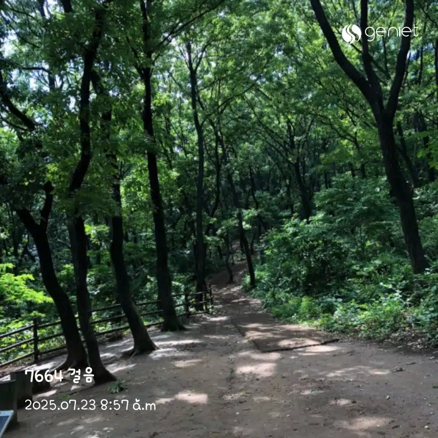오전 산책으로 