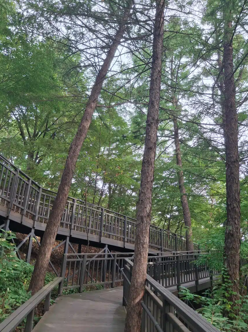 아침운동