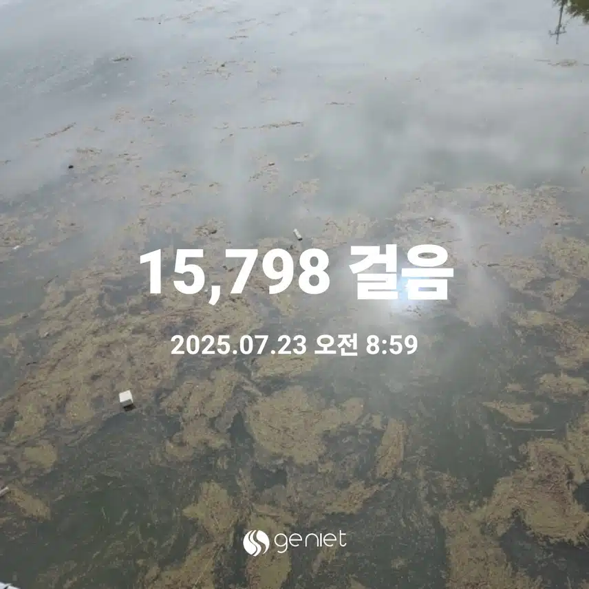 장마끝난뒤,,