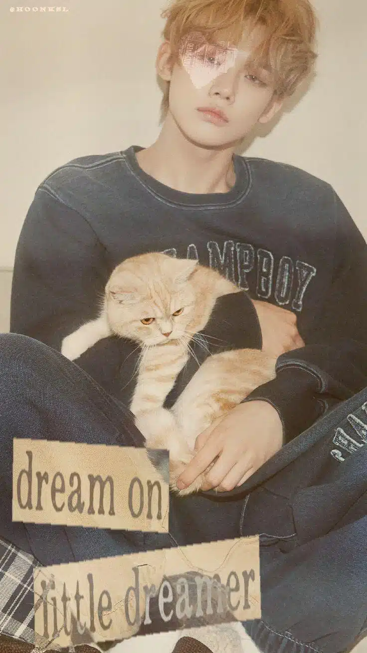 I like the picture of Yeonjun with the cat