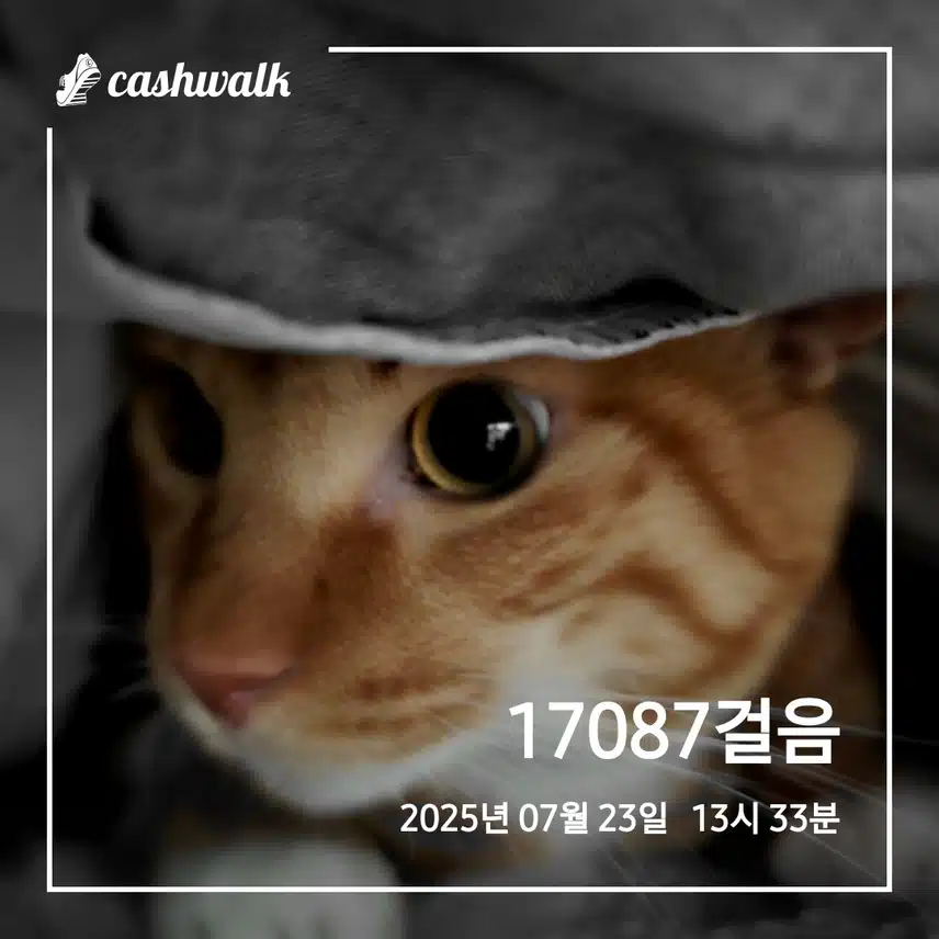 만보걷기 1.91일차 인증