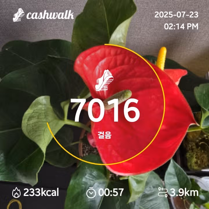 인증